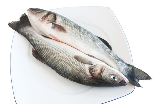 plate with two sea bass isolated on white background with clipping path