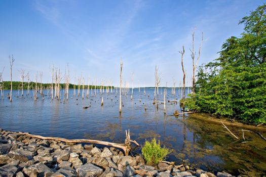 A reservoir in a pretty setting with rocks and trees