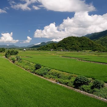 Rural scenery with green farm under white clouds in blue sky.