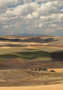 Summer hills and clouds, Whitman County, Washington, USA