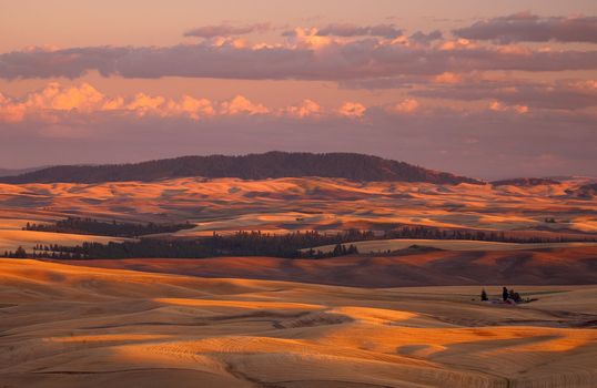 Rolling hills and Kamiak Butte at sunset, late summer, Whitman County, Washington, USA