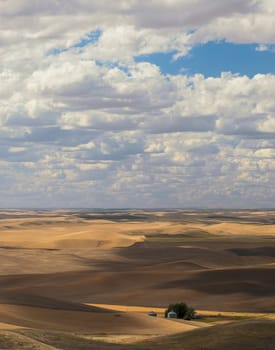 Summer hills and clouds, Whitman County, Washington, USA