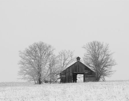 Old barn and trees in winter, Lancaster County, Nebraska, USA