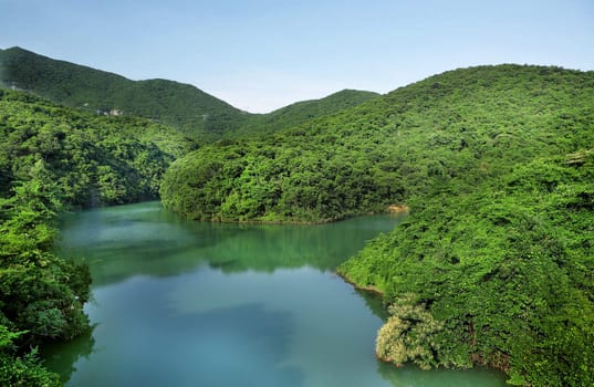 lake in forest