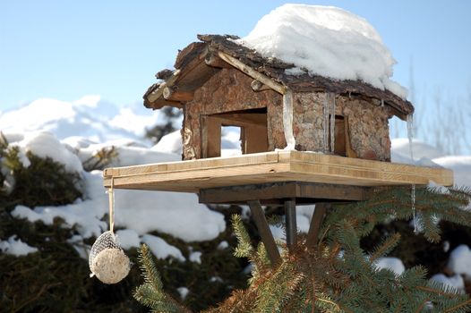 Shot of birdhouse in austrian winter with alps in background.