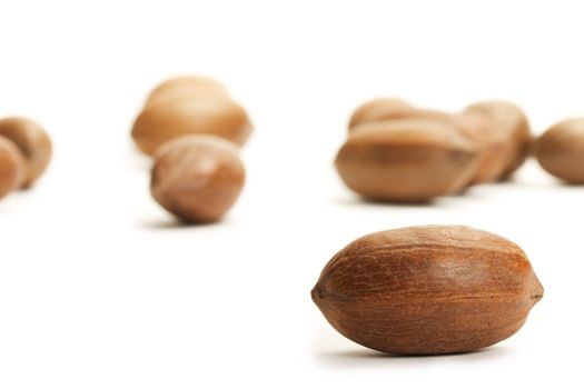 one pecan in front of others on white background