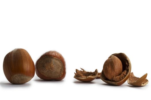 two and a cracked hazelnut on white background