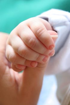 new born Baby's hand gripping for mothers finger