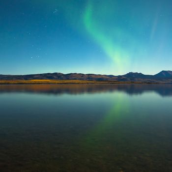 Northern lights (Aurora borealis) in moonlit night over Lake Laberge, Yukon, Canada, in fall.