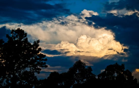 ring of sunlight on a stormy sky cloudscape with trees silhouette and sunlit clouds