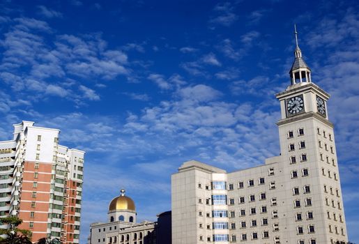 Customs clock tower in the tropical sun