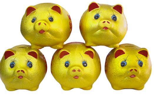 Eyes shining golden piggy bank