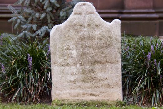Blank, once white, gravestone in autumn flowers with copy space on gravestone.  