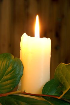 A lit white candle near a leafy branch.