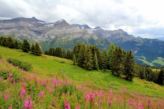 View on the Alps by summer from the col de la Croix, vaud, Switzerland