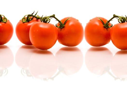 Organic tomatoes on the vine