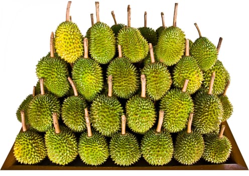 The Durian