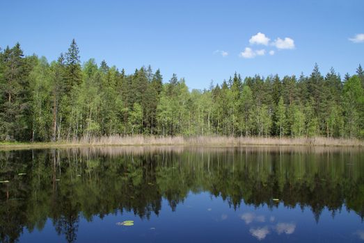 Forest and sky reflected on the calm surface of a rural lake in South of Finland. Photographed in Salo, Finland in May 2010.