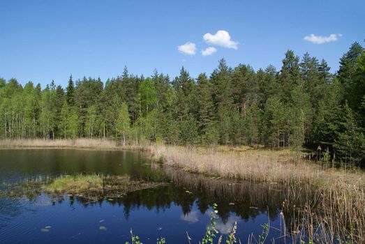 Scenery along the shores of a small rural lake Kolmpera on a sunny day of May in Salo, South of Finland. 