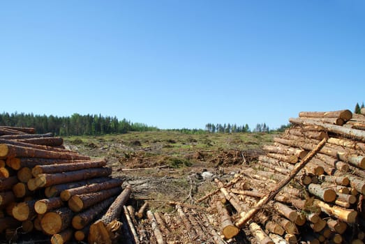 Timber logs with clear cut forest on a sunny day. Photographed in Salo, Finland in May 2010.