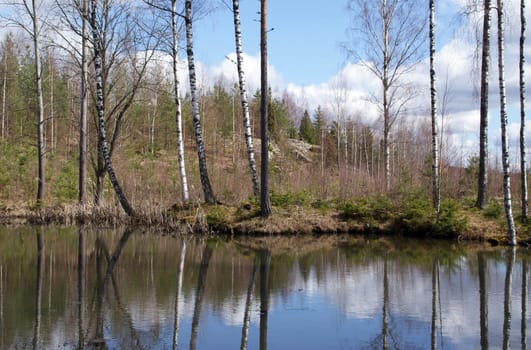 A reflection on a small, calm lake in forest.