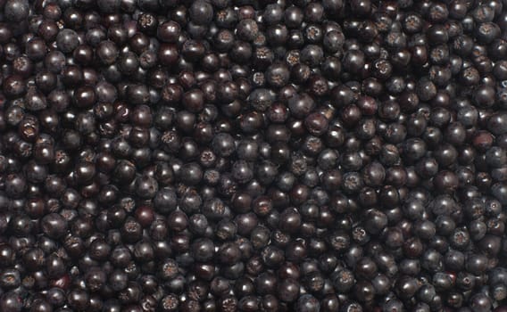 Close up shot background of aronia berries.