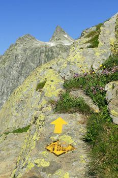Tag trekking, the Great Saint Bernard Pass, Alps, Italy Switzerland