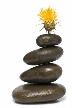 Zen balance with curative stones.