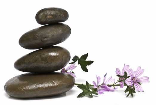 Zen balance with curative stones.