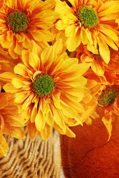 Photo based image of an autumn or Thanksgiving bouquet with pumpkin background. Extreme shallow DOF.