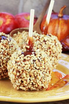 Caramel apples with fresh apples and pumpkins in the background.