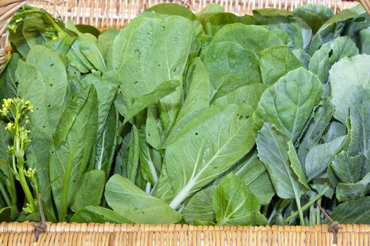 Organic Chinese Green Vegetable in Weaved Basket