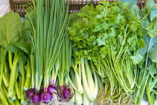 Fresh Organic Vegetables from a local farm