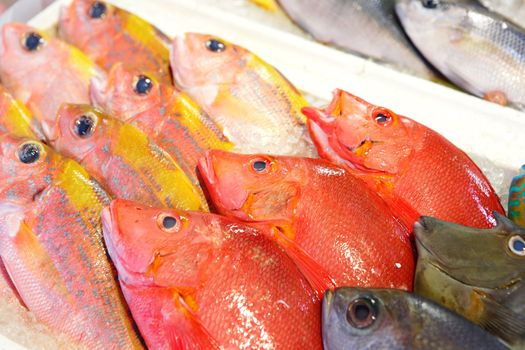 fish for sale