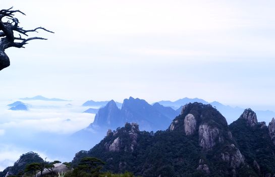 Filming in Jiangxi, China.The Sanqingshan mountain is World Natural HeritageSONY DSC