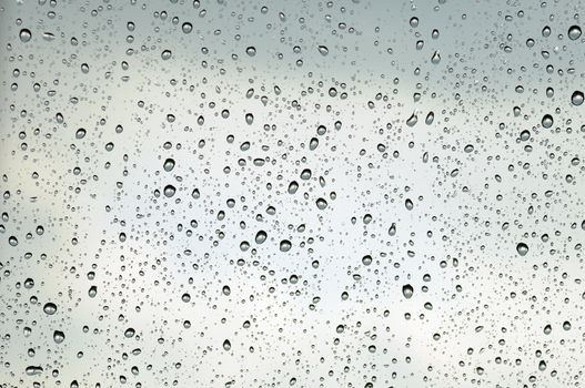 Rain drops on a windowpane