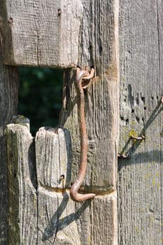 Rusty hook on an old wooden door