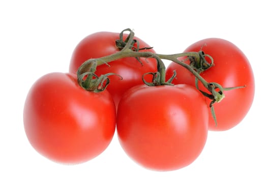 tomato isolated on a white studio background   