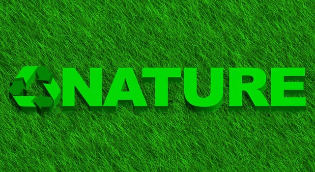 3D illustration of nature word over green grass