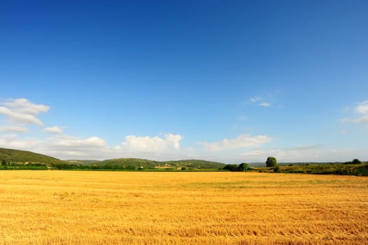 Tuscany Landscape With Green Hills  In The Morning