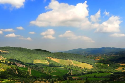 Hill Of Tuscany With Vineyard In The Chianti Region