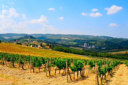 Hill Of Tuscany With Vineyard In The Chianti Region