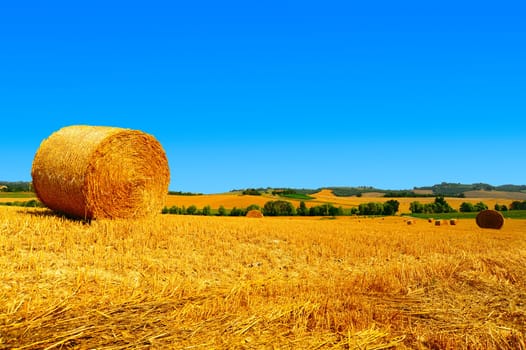 Tuscany Landscape With Many Hay Bales In The Morning