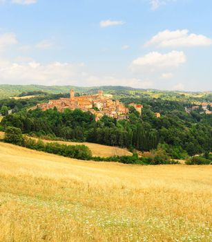 Typical Medieval Tuscan City Surrounded By Forest