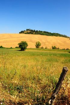 Tuscan Landscape With an Old Lopsided  Fence In The Foreground