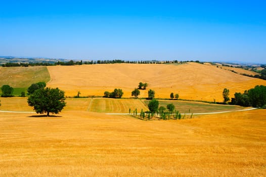 Tuscany Landscape With Many Hay Bales In The Morning