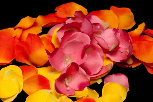 Orange, yellow and pink rose textile petals on black
