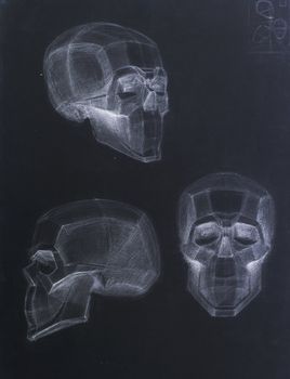 drawings of  Human Skull.  Academical art. Drawing 