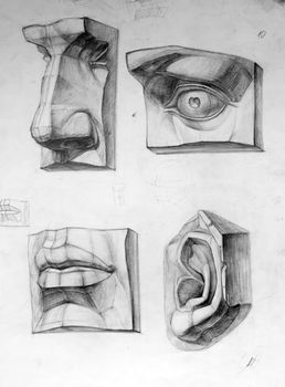 Plaster cast human body fragments drawing: nose, eye, mouth, ear,