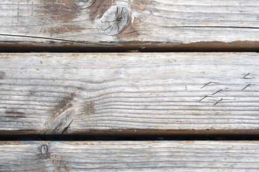 Old wood grating. Textured bacground. Close up.